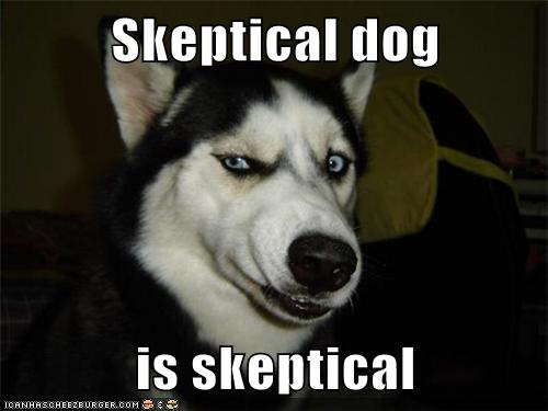 skeptical-dog